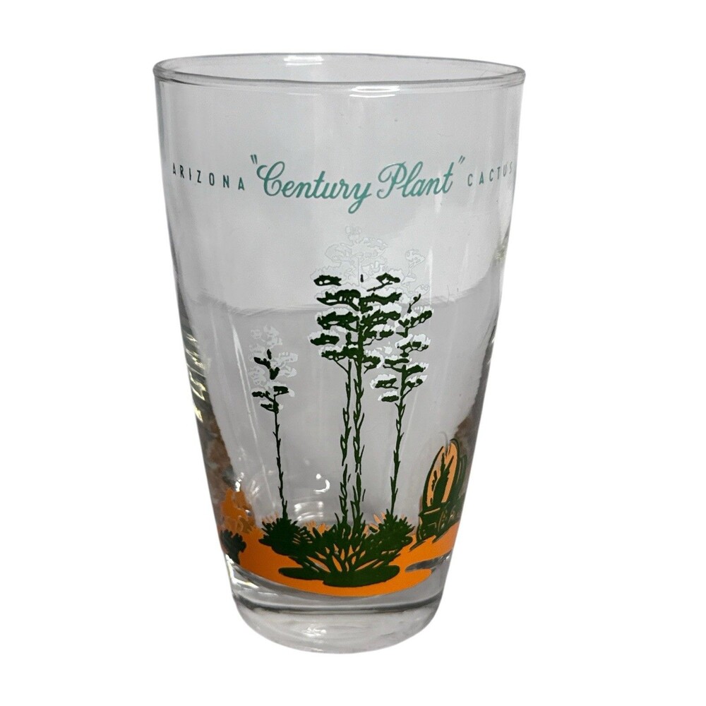 Vintage Arizona Century Plant Cactus Glass Southwest MCM Tumbler Barware